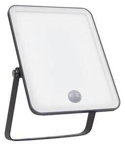 Ledvance - Proiettore LED da parete per esterni con sensore FLOODLIGHT LED/30W/230V IP65