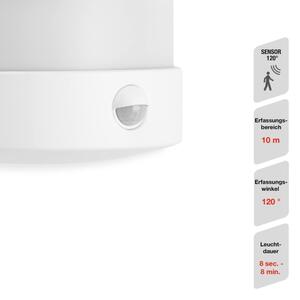 Telefunken 315506TF-LED Applique da esterno con sensore LED/12W/230V IP44