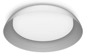 Philips - Plafoniera LED dimmerabile FLETA LED/10W/230V 4000K limpido