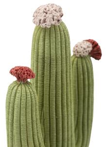 Cactus Cm 16,5X11X45