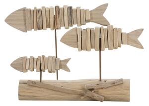 Pesci Nature Cm 37X10X24