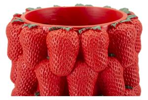 Vaso Strawberry Cm Ø 20X32