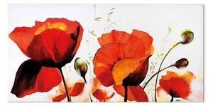 Quadro su tela Natura fiorita - motivo vegetale con papaveri rossi