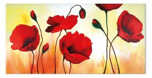 Quadro contemporaneo Papaveri rossi al sole - motivo floreale con fiori e disegni