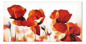 Quadro moderno Papaveri ravvicinati - motivo floreale con fiori rossi