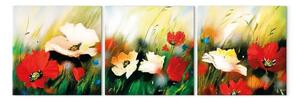Quadro moderno Vento nei prati (3 parti) - fiori di campo e papaveri su erba verde