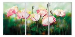 Quadro Prato pieno di papaveri sbiaditi (3 parti) - fiori su sfondo erboso
