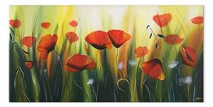 Quadro contemporaneo Misterioso prato di papaveri - erba verde e fiori rossi