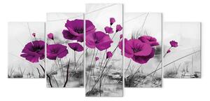Quadro Papaveri viola (5 pezzi) - Fiori su sfondo nei toni del grigio