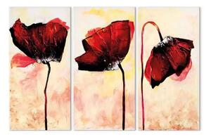Quadro moderno Tre fiori rossi (3 pezzi) - Papaveri su sfondo con delicato colore