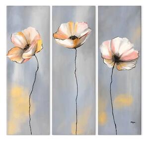 Quadro Papaveri pastello (3 pezzi) - Singoli fiori chiari su sfondo grigio