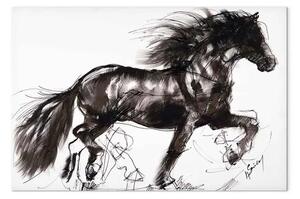 Quadro moderno Cavallo II