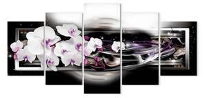 Quadro Orchidee su sfondo nero
