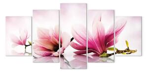 Quadro contemporaneo Magnolie: fiori rosa