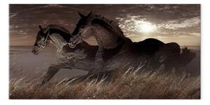 Quadro su tela Statue di cavalli