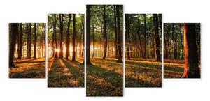 Quadro moderno Tramonto nella foresta
