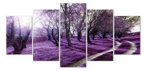 Quadro Orto di lavanda