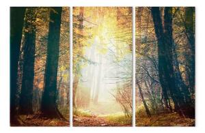 Quadro Fascino d'autunno - trittico