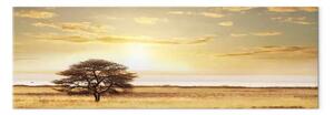Quadro contemporaneo Albero solitario nella savana