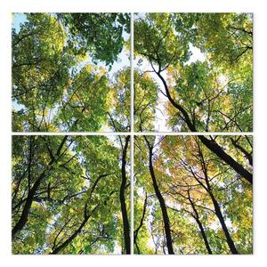Quadro contemporaneo Treetops