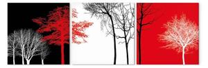 Quadro su tela Tre colori della natura