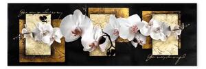 Quadro Composizione elegante con orchidea