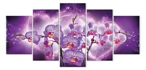 Quadro moderno Orchidee dell'amore