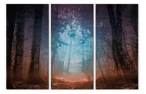 Quadro Bordo della foresta - trittico