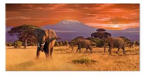 Quadro su tela Avventura in Africa