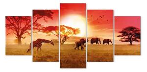 Quadro I colori solari dell'Africa