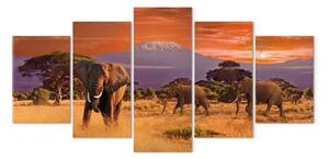 Quadro contemporaneo Africa: elefanti