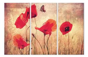 Quadro moderno Papaveri in stile vintage