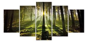 Quadro su tela Silenzio di primavera
