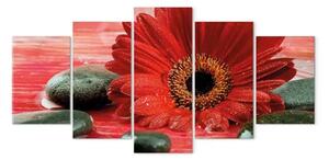 Quadro moderno Gerbera e pietre Zen