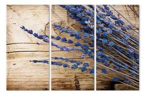 Quadro contemporaneo Lavanda