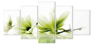 Quadro Il fascino delle magnolie