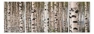 Quadro su tela Foresta di betulle
