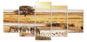 Quadro moderno Zebre nella savana