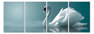 Quadro moderno Cigno bianco (4 pezzi)
