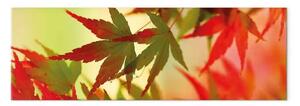 Quadro moderno Un tocco d'autunno