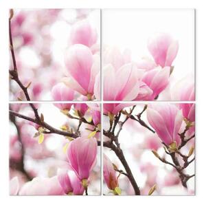 Quadro Cespuglio di magnolie in fiore
