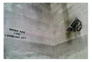 Quadro Che cosa stai cercando? (Banksy)