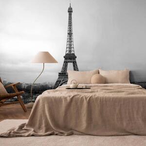 Carta da parati Architettura di Parigi - Torre Eiffel in bianco e nero in stile retrò