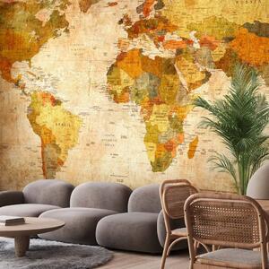 Carta da parati Mappa del mondo - mappamondo con paesi e capitali in stile retrò