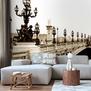 Carta da parati moderna Architettura di Parigi - famoso Ponte Alessandro III in seppia