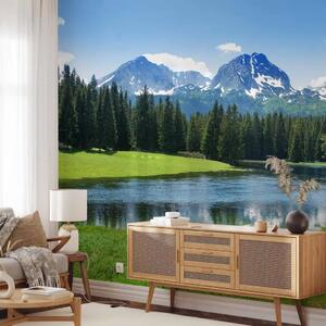 Carta da parati moderna Parco nazionale di Durmitor - paesaggio con bosco e cielo
