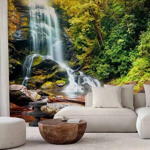 Carta da parati moderna Meraviglia della natura II - cascata che scorre sulle rocce nel bosco