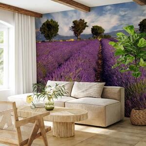 Carta da parati Paesaggio naturale - un campo rurale di lavanda viola