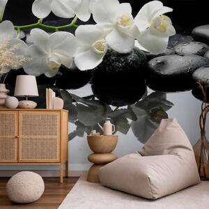 Carta da parati moderna SPA, pietre e orchidea - motivi floreali naturali su sfondo nero