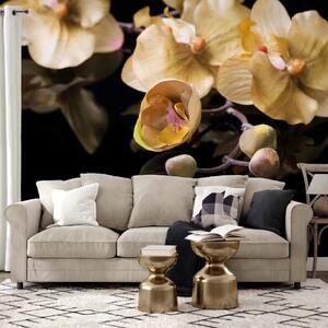 Carta da parati moderna Orchidee in ecru - sobrio motivo floreale su sfondo nero